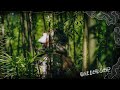 Let Go A Cinematic Escape ft Alan Watts Sony ZV E1