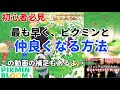 【初心者必見】結局、どうやって仲良し度を上げるのが1番いいの?②フルーツの受け取りを保留にしている時に「してはいけないこと」【ピクミンブルーム /Pikmin Bloom 】