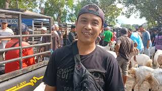 Download Lagu Pasar legi durenan trenggalek ( 22 08 2025 ) hari ini # MP3 Download Lagu Pasar legi durenan trenggalek ( 22 08 2025 ) hari ini # MP3
