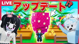 取り引き終了！お庭にいかがですか？¥10000 mqdefault.jpg
