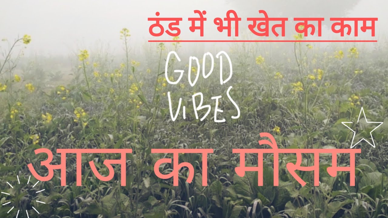 ☃️❄️ठंड और ओस में भी जारी खेत का काम | गाँव की सच्ची ज़िंदगी🛖🏚️किसान की मेहनत मौसम देखकर नहीं रुकती।