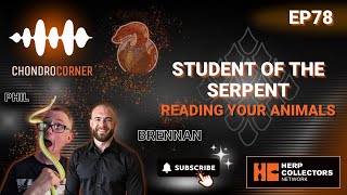 EP78 – Student of the Serpent: Reading Your Animals