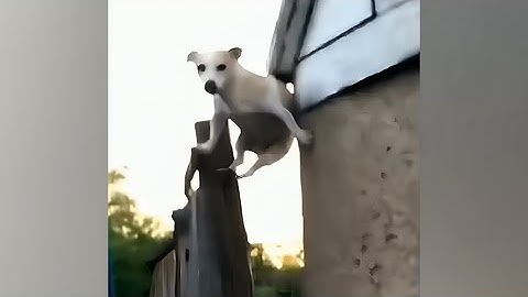 Quintessentially British Memes #64