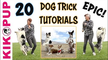 DOG TRICKS - 20 Trick Tutorials!
