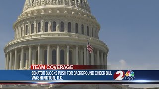 Mixed reaction after senator blocks push for background check legislation