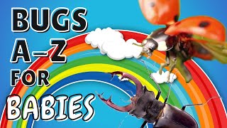 Bug Alphabet | Insects for Toddlers | Phonics for babies | Learn your ABCs | Bugs AZ