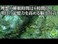 【熟睡 川の音】健康な睡眠が記憶力を高める脳汁溢れる川音