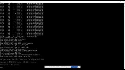 Docker - Oracle Database Container