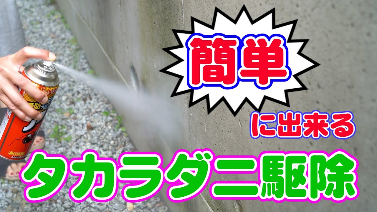 タカラダニ対策 スプレーするだけかんたんタカラダニ駆除 イカリ消毒 ムシクリンアリ用 ガーデンエアゾール 赤ダニ 小さな赤い虫の正体はタカラダニ タカラダニ用殺虫スプレー 効果は約1ヶ月 Youtube