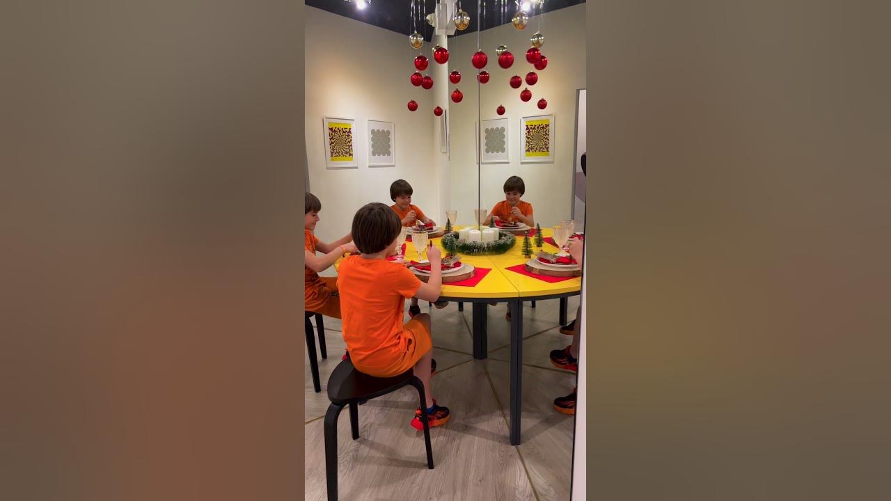 Anabella and Bogdan have funny moments in the museum of illusions #shorts