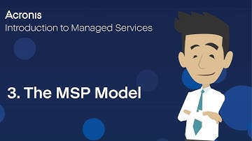 3. The MSP Model