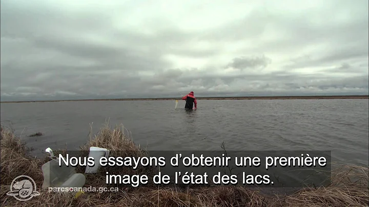 L'étude des lacs et étangs du Parc national Wapusk