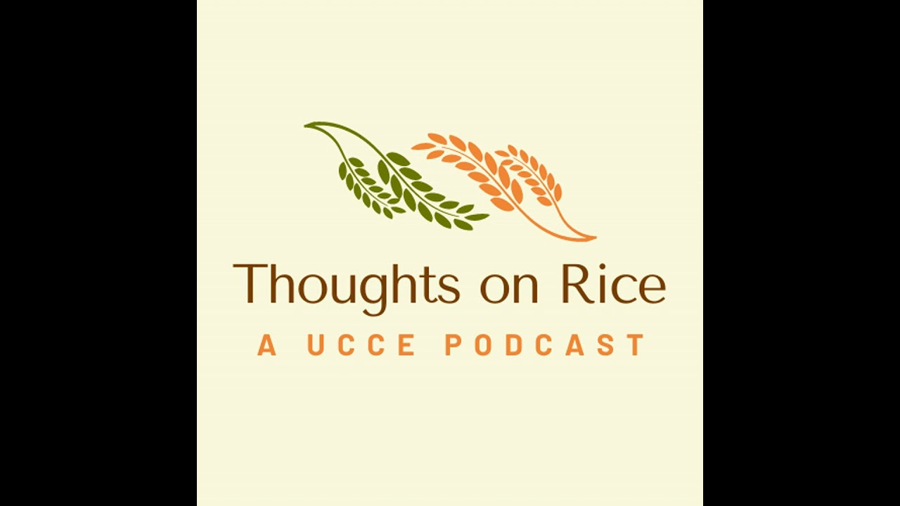 Off-season bird habitat conservation programs with Jason Coslovich and Luke Matthews