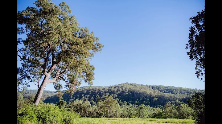 Introducing Mongo Valley Wildlife Sactuary