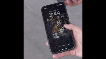 Wolf ID - Product Demo Video