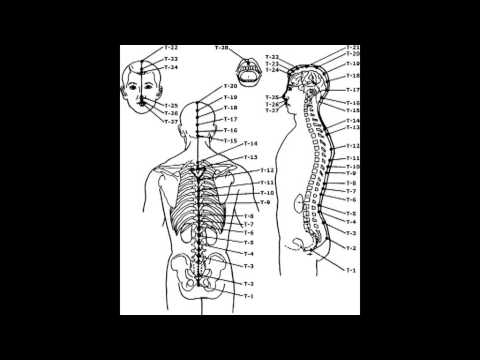 Биоэнергетика человека 30