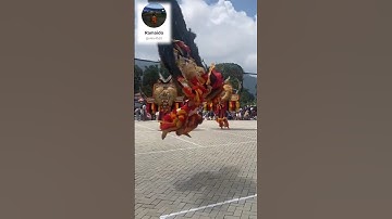 Reog Ponorogo 60kg Flies! Mind-Blowing Acrobatic Power!