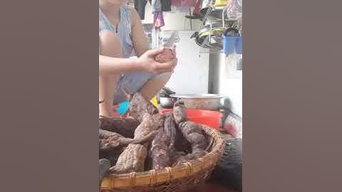 Trị dứt điểm tóc rụng, tóc bạc sớm từ Hà Thủ Ô, sđt 035.606.4883