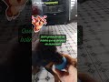 comprei para ele brincar ele gostou muito a bolinha