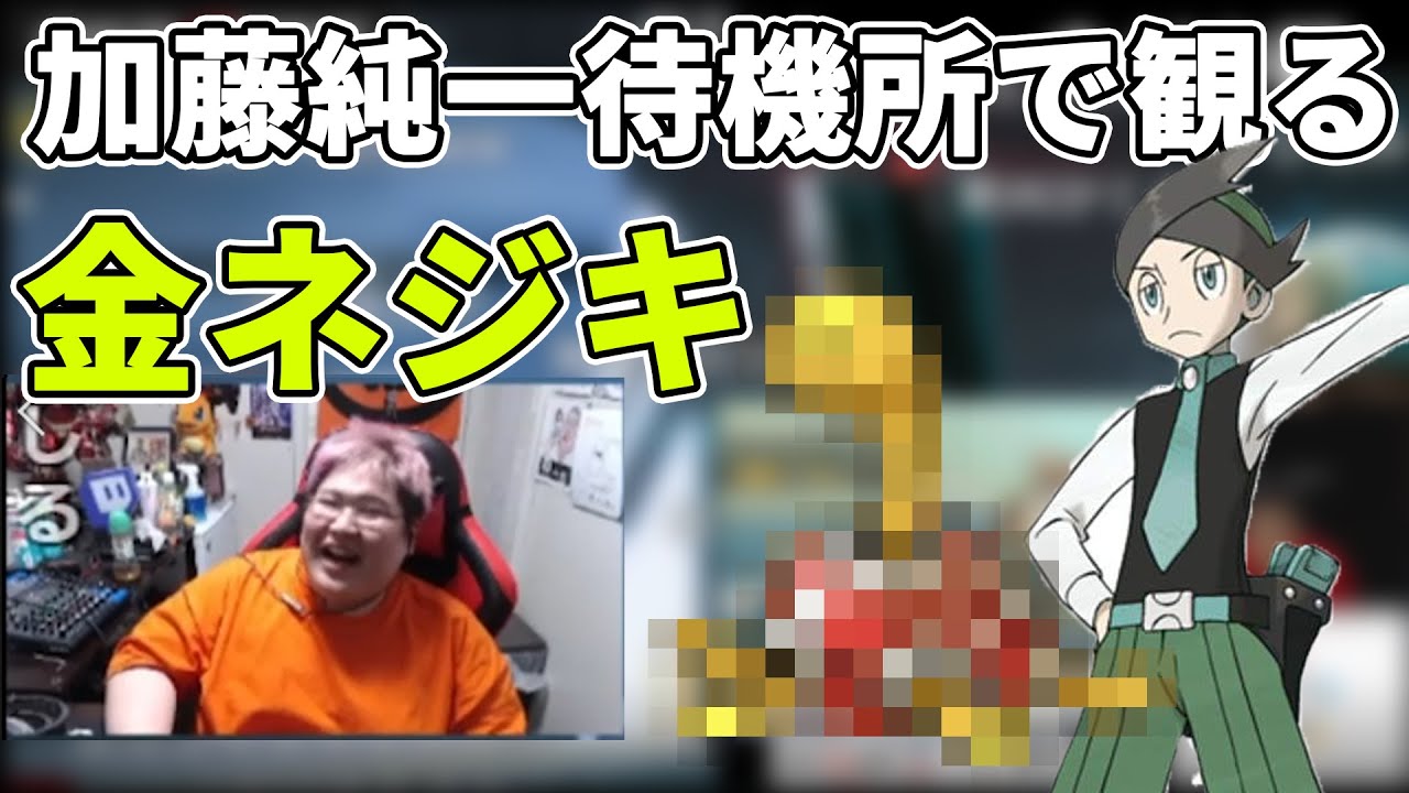 加藤純一待機所と化す恭一郎と観る金ネジキ(2021/11/16)