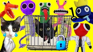 Blue y el nuevo juego de Rainbow Friends en la vida real / Videos de gatitos Luna y Estrella