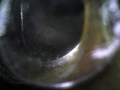 Mirror attachment for boroscope