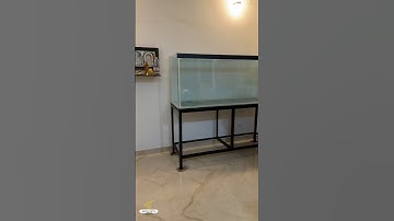 6 ft tank delivery ...! @nemo.petscbe #nemopets #fish #fishtank #tank  #tanks #aquarium #coimbatore