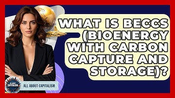 What Is BECCS (Bioenergy With Carbon Capture And Storage)? - All About Capitalism