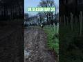 Final trees of 2025! #ukplanting #treeplanting #woodlandcreation #reforestation #treesof2025