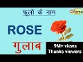 Flowers name in Hindi | फूलों के नाम हिन्दी मे | Flowers name | Flowers name in English and Hindi |