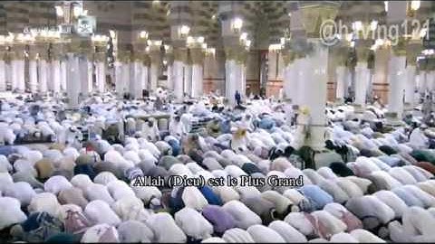 تهجد ليلة 29 رمضان 1437 للشيخ محمد خليل القارئ