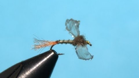 The Fripple - Fly Tying Lesson Video Tutorial by Curtis Fry