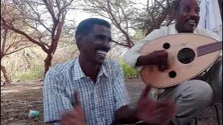 عبد المنعم أب سم - قالوا لي سرو