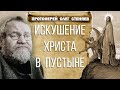 ИСКУШЕНИЕ ХРИСТА В ПУСТЫНЕ.  Как нам бороться с искушениями ? Протоиерей Олег Стеняев