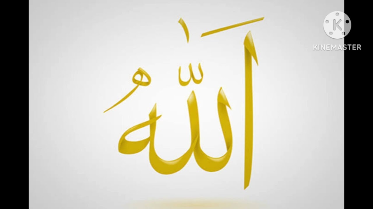 وعلى الله لافدي عمري / طار نحو الحبيب شحرور قلبي / واشوقاه الى رؤياك رسول الله || مجلس ذكر 