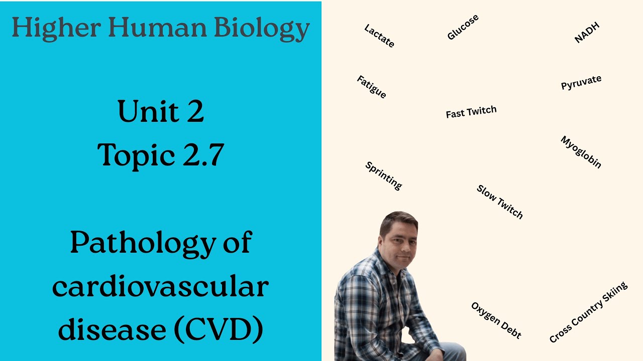 Higher Human Biology: 2.7 Pathology of cardiovascular disease (CVD ...