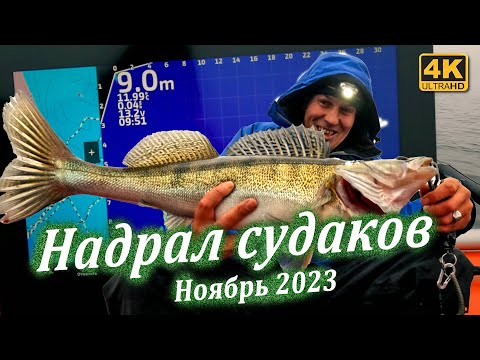 Рыбалка на судака в ноябре с Panoptix Livescope