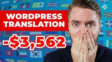 What Website Translation Plugins Aren