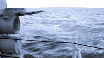 Naval Combat Systems Engineering Officer