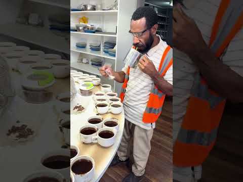 Самый дорогой кофе в мире: как его делают на самом деле #coffee #кофе