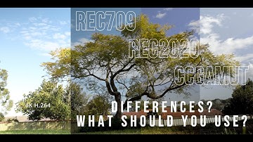 Rec709 vs Rec2020: What