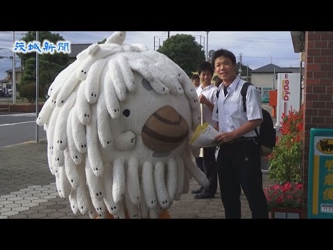 アライッペが大洗駅で「ゆるキャラグランプリ」投票をお願い