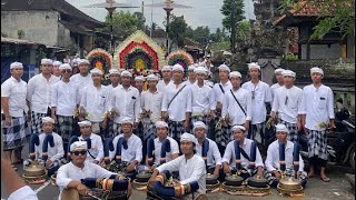 Ngiring Sesuhunan ida ratu manca manca tedun lunge ke pura penataran sasih penabuh ring Srawung alit