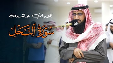 عشائية مؤثرة تلاوة مميزة تفوق بصوت الشيخ حمزة معاذ | عشاء 11-8-1446 هـ