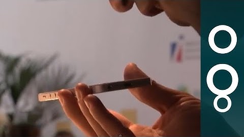 The voice is the future