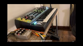 Neverend [Moog Matriarch + Universal Audio UA Golden Reverb] Electronic Music Sequence || Sound Art