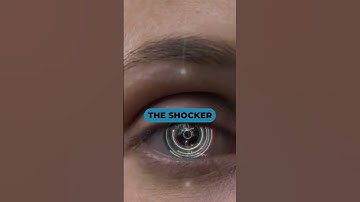 The Shocking Secret of OpenAI