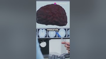 How Stress Influences Risky Decisions #neuroscience #sciencefather #brainscience #facts  #motivation