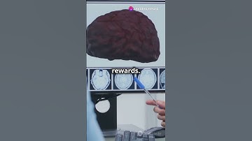 How Stress Influences Risky Decisions #neuroscience #sciencefather #brainscience #facts  #motivation