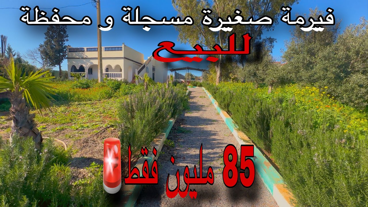 فيرمة صغيرة😍 مسجلة و محفظة✨ للبيع 85 مليون فقط🚨فيها الدار و مسبح صغير نواحي مدينة بنسليمان📍بفراشها🚨✨